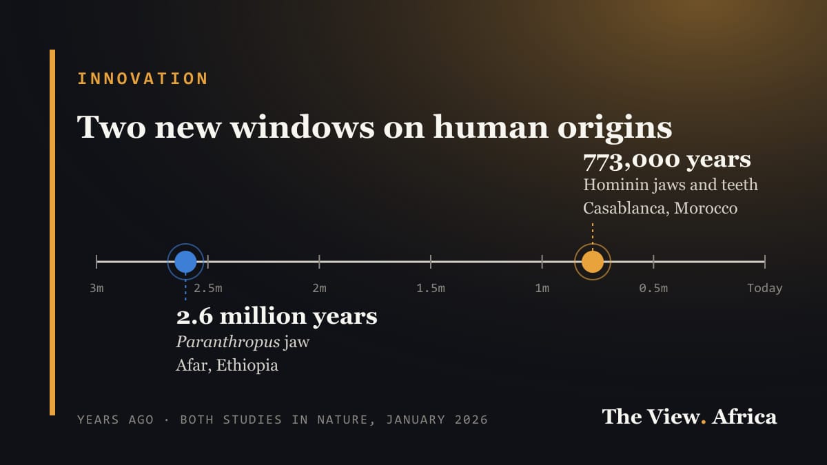 Timeline from 3 million years ago to today marking the 2.6-million-year-old Paranthropus jaw from Afar, Ethiopia, and the 773,000-year-old hominin fossils from Casablanca, Morocco