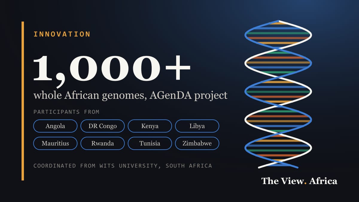 Illustration of a DNA double helix beside the figure 1,000+ and the eight countries where AGenDA participants were recruited: Angola, DR Congo, Kenya, Libya, Mauritius, Rwanda, Tunisia and Zimbabwe