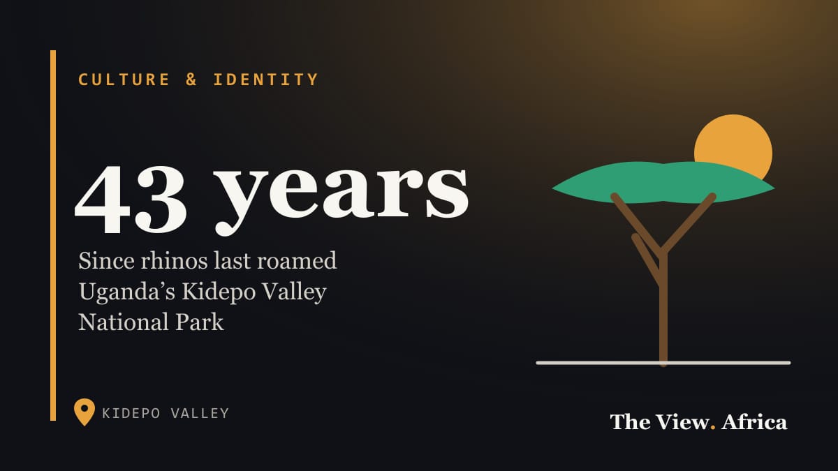 43 years: Since rhinos last roamed Uganda’s Kidepo Valley National Park