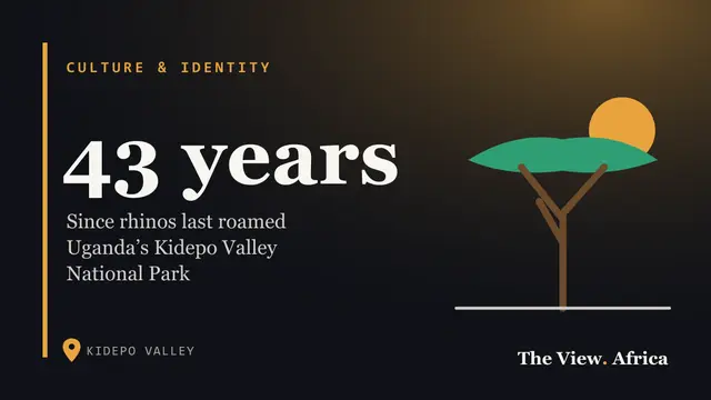 43 years: Since rhinos last roamed Uganda’s Kidepo Valley National Park